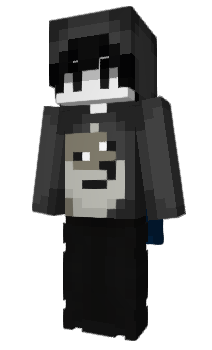 Minecraft skin vhic