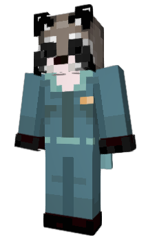 Minecraft skin raccyno