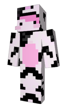 Minecraft skin roon_