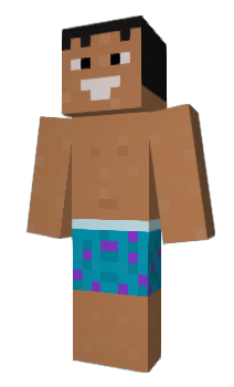 Minecraft skin Numwiki