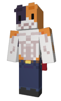 Minecraft skin nohax_