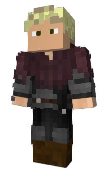 Minecraft skin Donri