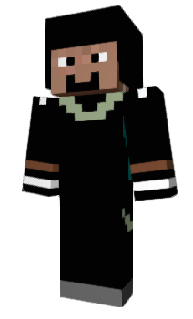 Minecraft skin Terratec