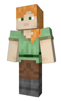 Minecraft skin 2014cape