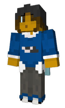 Minecraft skin SourcePlugin