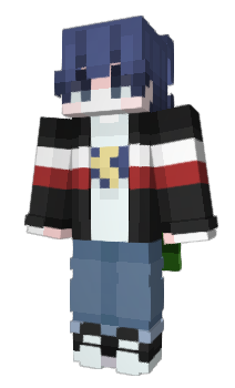 Minecraft skin hayroke