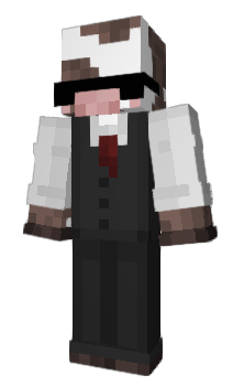 Minecraft skin zeldr