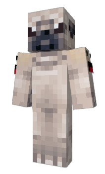 Minecraft skin rs3