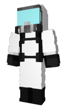 Minecraft skin nominant