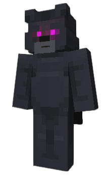 Minecraft skin ignRocky