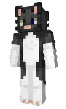 Minecraft skin expectation