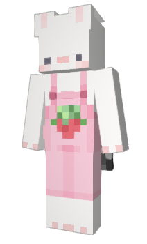 Minecraft skin binhy