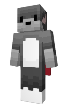 Minecraft скин по нику notdumb