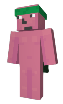 Minecraft skin BonkSalsa