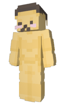 Minecraft skin SAMUN
