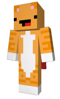Minecraft skin Gravycatman