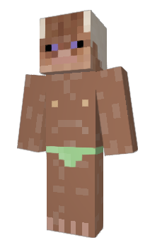 Minecraft skin QN12