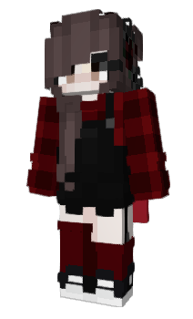 Minecraft skin Daches