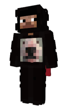 Minecraft skin 9dog