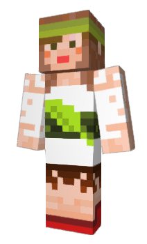 Minecraft skin otofu