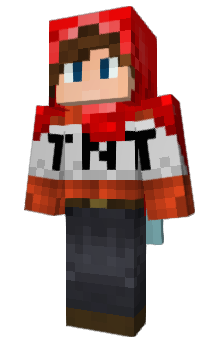 Minecraft skin Tag_