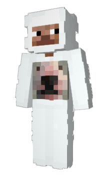 Minecraft skin TzyMc