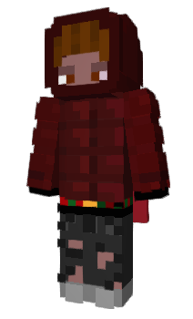 Minecraft skin rinkus