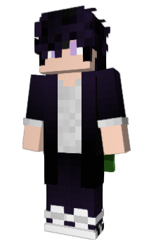 Minecraft skin FarV1sion