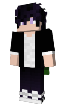 Minecraft skin FarV1sion