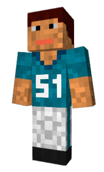 Minecraft скин по нику MiamiDolphins