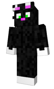 Minecraft skin michigato