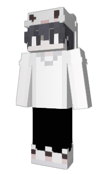 Minecraft skin T4PR