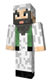 Minecraft skin citq
