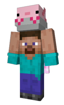 Minecraft skin VanxT