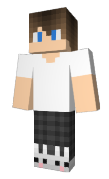 Minecraft скін по ніку Zerzy