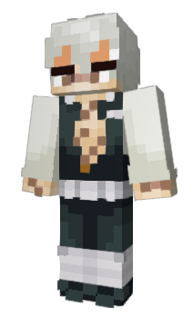 Minecraft skin TCRed