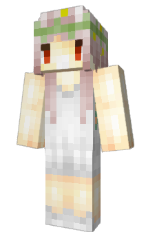 Minecraft skin Dgua