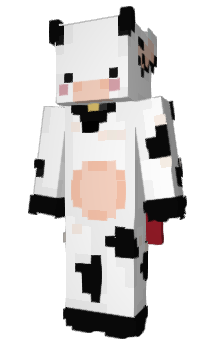 Minecraft skin Palgan