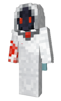 Minecraft skin bnpi