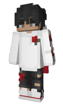 Minecraft skin BaarteQ