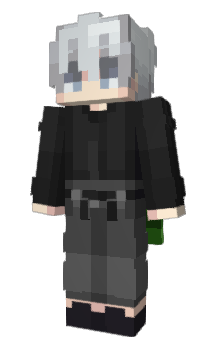 Minecraft skin aviu