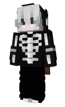Minecraft skin ZirconXD