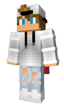 Minecraft skin triangula
