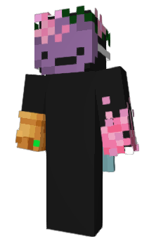 Minecraft скин по нику user_2211