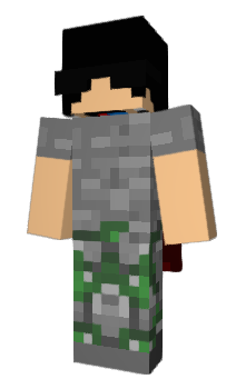 Minecraft skin Pye