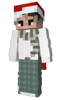 Minecraft skin TynkarzAkrobata_