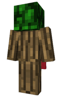 Minecraft скин по нику z_je