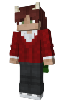 Minecraft skin fake_Toxi