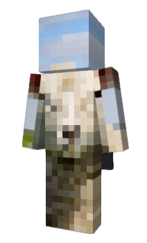 Minecraft skin shpe