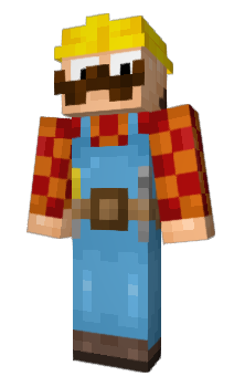 Minecraft skin NinBro